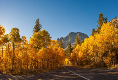 ​史记滑稽列传原文及翻译（故事内容及教人道理）