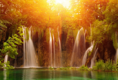 ​有关动物的故事有哪些（描写动物的5个故事）