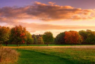 ​巢谷传的故事是什么（巢谷传的原文及赏析）