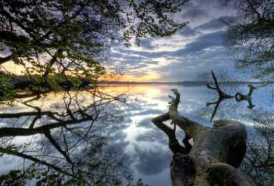 ​睡前故事8一9岁短篇（儿童睡前小故事免费听）