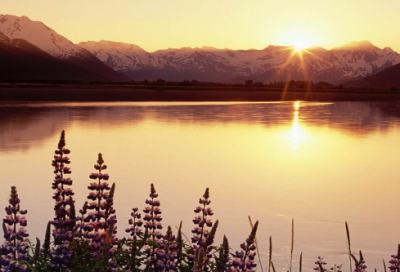 ​胜败乃兵家常事什么意思（胜败乃兵家常事的故事典故）