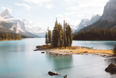 ​项羽的故事简介（关于项羽的历史典故）