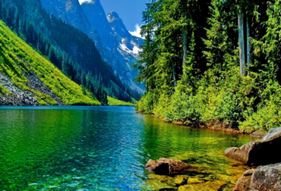 ​儿童在线故事50篇