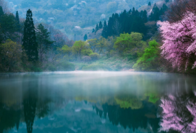 ​儿童故事等明天36篇