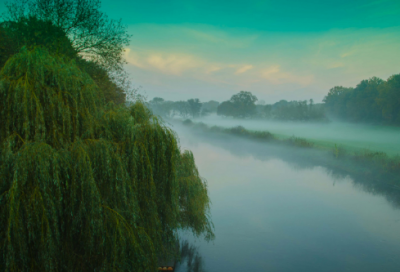 ​儿童睡前故事田螺姑娘50篇