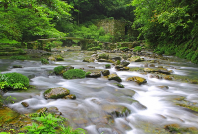 ​儿童绘本故事我爸爸31篇