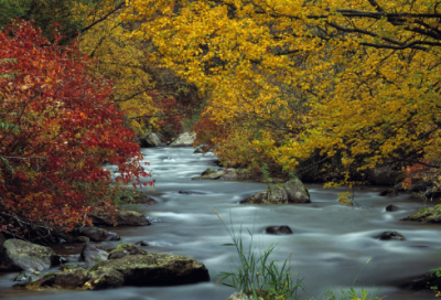 ​儿童故事猪八戒背媳妇35篇