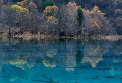 ​儿童睡前故事狐假虎威44篇
