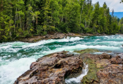 ​亲子阅读故事10篇赏析