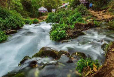 ​儿童睡前故事沉睡公主40篇