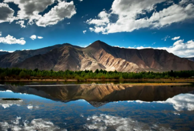 ​儿童狗的故事大全36篇