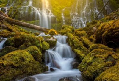 ​米小圈上学记睡前故事31篇