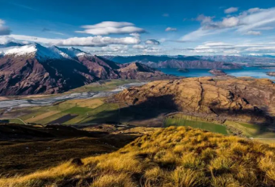 ​儿童睡前动物故事大全47篇