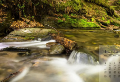 ​儿童故事狐狸和葡萄49篇