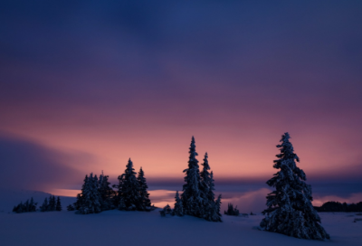​初一日记大全15篇
