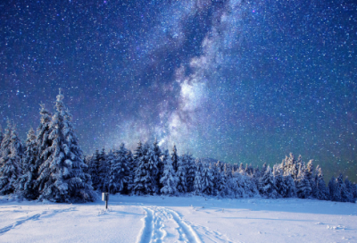 ​初一日记300字