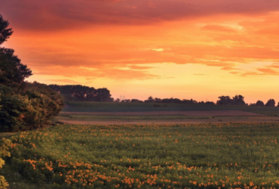 ​初中暑假日记