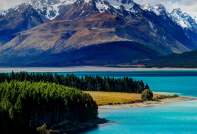 ​中学生日记400字