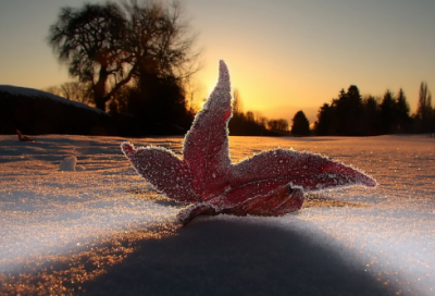​我的顺产经历日记