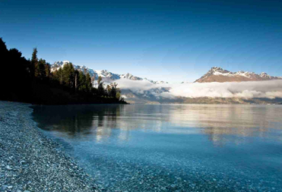 ​收养日记12篇