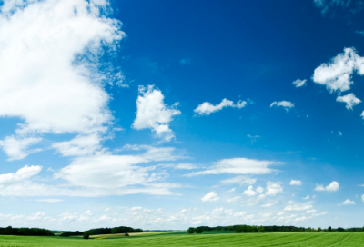 ​年轮日记14篇