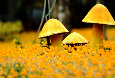 ​日记两则12篇