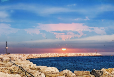 ​30字日记大全15篇