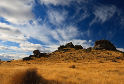 ​第七单元的第三课《青蛙卖泥塘》教学设计