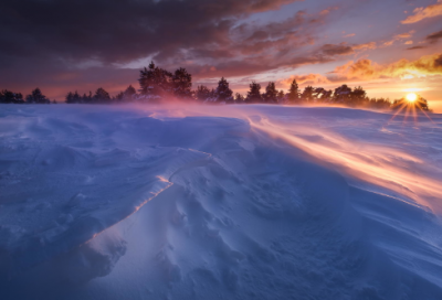 ​端午节写一篇日记14篇