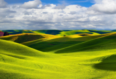 ​三年级上册日记10篇