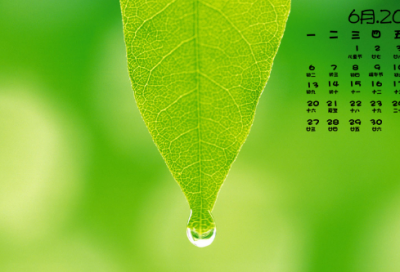 ​好人好事日记