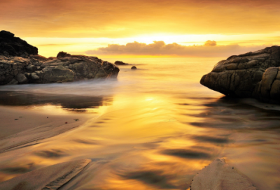 ​九年级物理教学工作总结