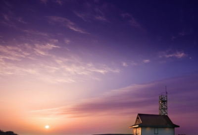 ​五年级青蛙日记200字