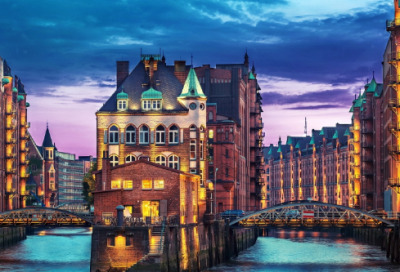 ​观察蚂蚁的300字日记