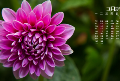 ​初中物理教学计划