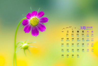 ​动物观察日记