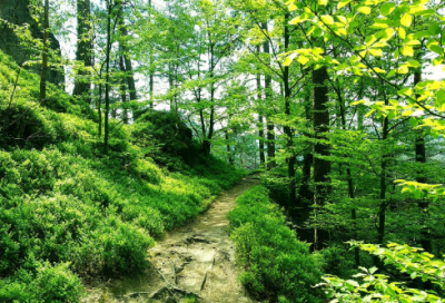 ​海上日出教学课件