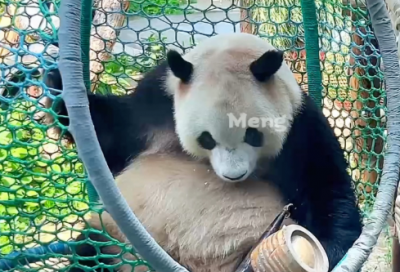 ​一年级语文教师教学工作计划