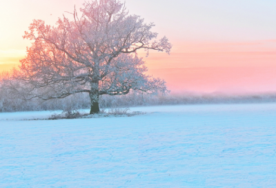 ​科学教学计划
