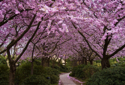 ​元宵节的日记