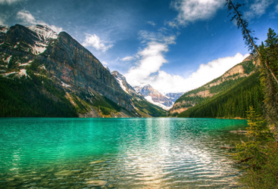 ​难忘清明作文四篇