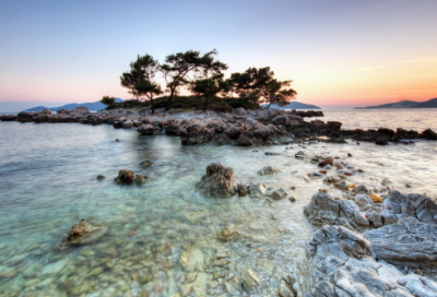 ​关于回家过年作文四篇