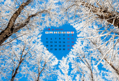 ​大班体育老鹰捉小鸡教案