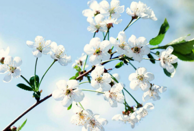 ​关于老师的写作文400字五篇