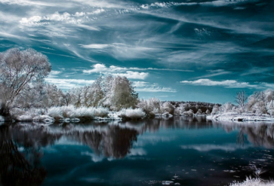 ​有关为喝彩作文4篇