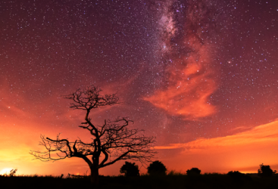 ​童年的回忆作文5篇