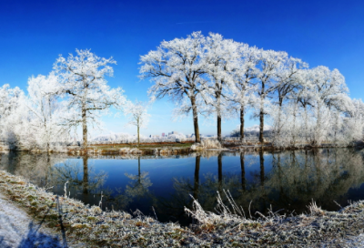 ​英语日记60词7篇