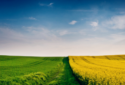 ​优秀作文的开头和结尾