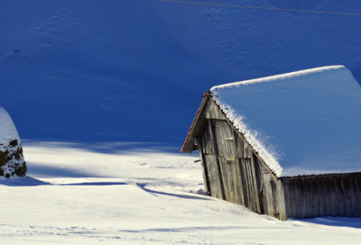 ​四年级想象作文