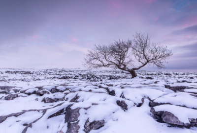 ​有关小学生记事作文三篇